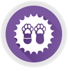 IgE Allergy Test for Canine and Feline