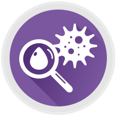 Circulating Tumor Cell (CTC) CTC Cancer Screening Blood Test (Screening) 