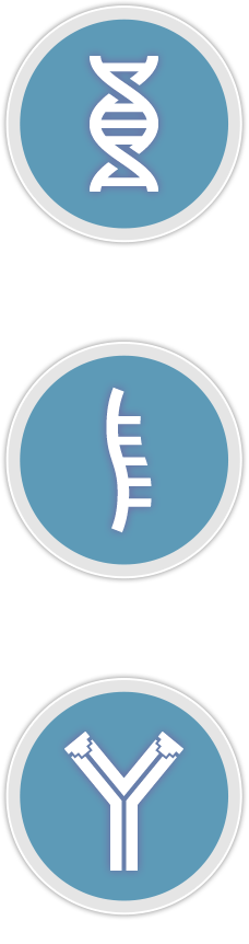 DNA RNA Protein