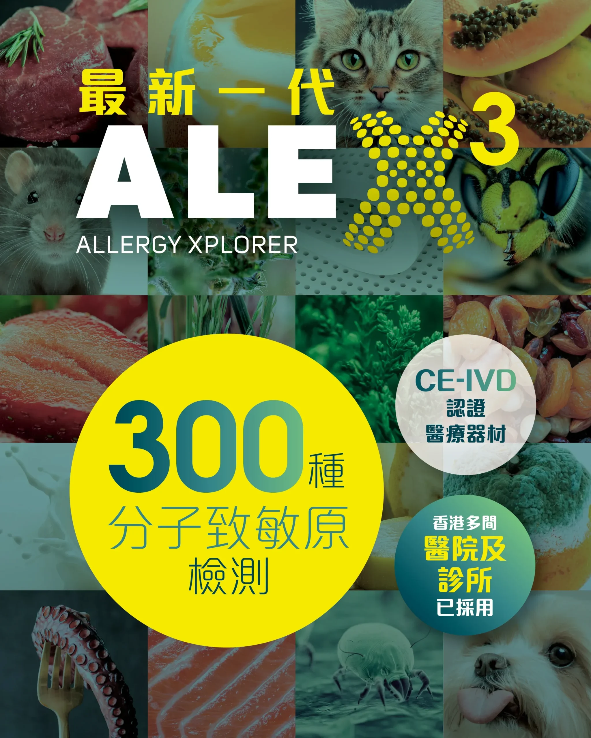 #20251027 ALEX 3 Banner 1080 × 1350_IgE Alex3 敏感測試 - Acuitylab