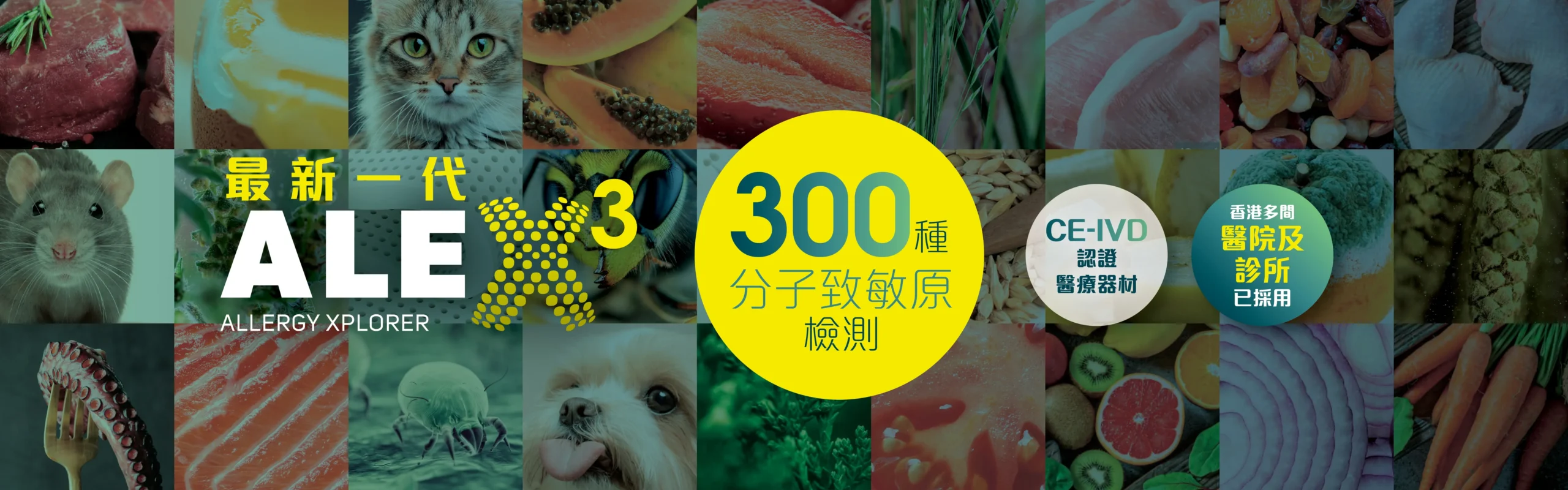#20251027 ALEX 3 Banner 1920 × 6002_IgE Alex3 敏感測試 - ApexHealth